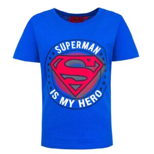 Superman T-shirt Boys DC Superman Short Sleeve T-shirt Age 3-8 Years