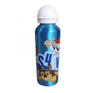 Paw Patrol Water Bottle Kids Paw Patrol Aluminium Water Bottle 500ml